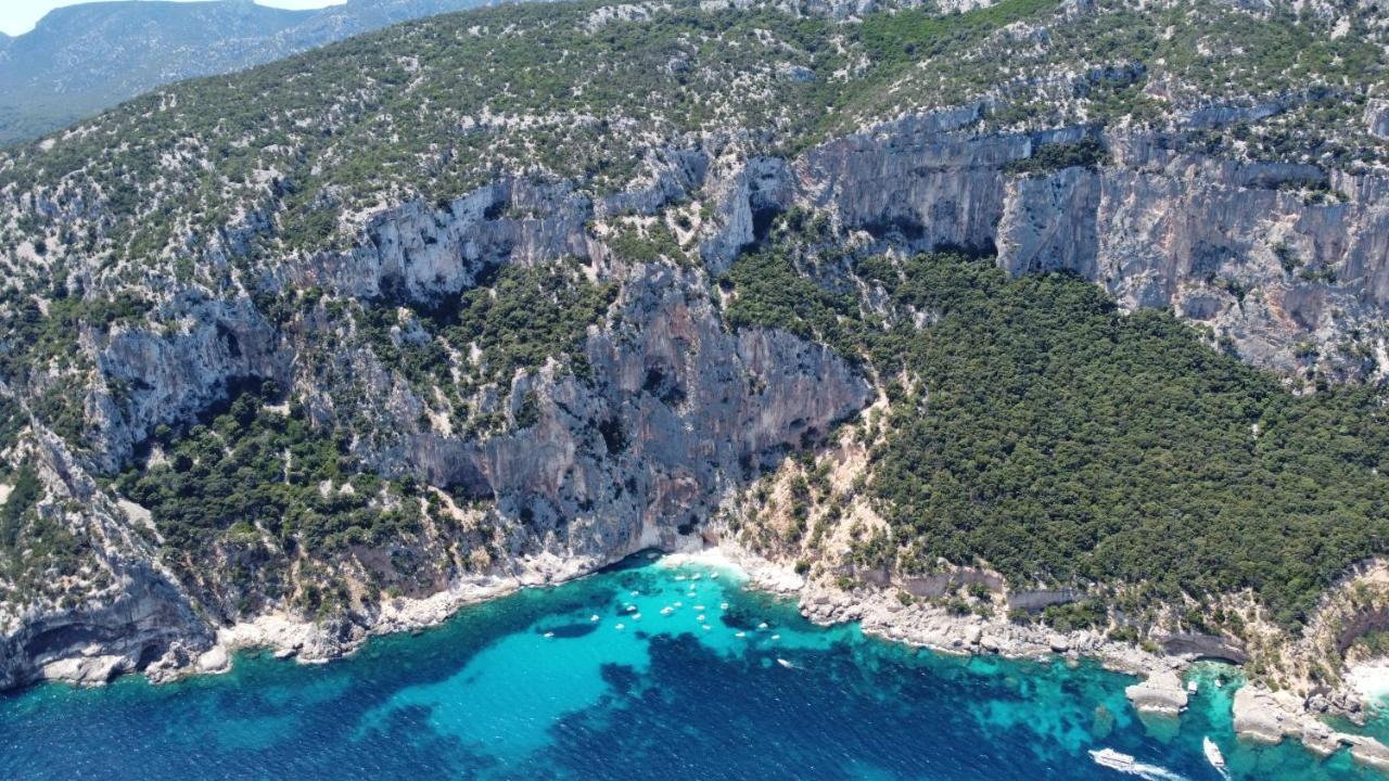 Appartamento Terrazza Vista Mare Cala Gonone Eksteriør billede